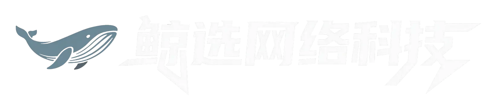 鲸选网络科技